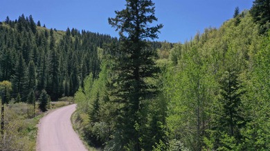 (private lake, pond, creek) Acreage For Sale in Pocatello Idaho