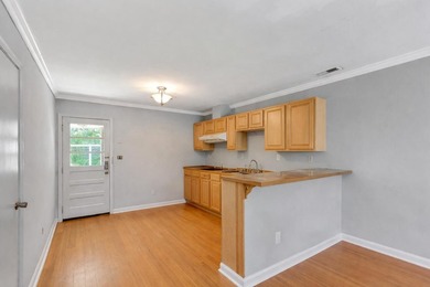 The renovation is underway.767 Bermuda Street in Charleston, SC - photo 22