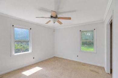 The renovation is underway.767 Bermuda Street in Charleston, SC - photo 28