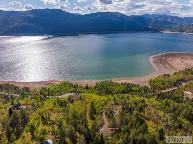 Lake Acreage For Sale in Irwin, Idaho