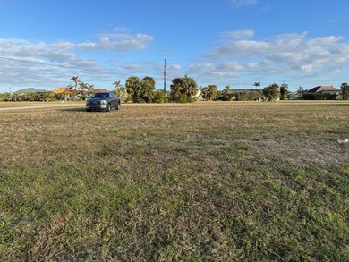 Burnt Store Lakes is a deed-restricted community. It has a - photo 8
