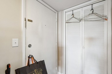 Experience an extraordinary opportunity to own one of downtown - photo 41