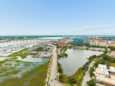 Experience an extraordinary opportunity to own one of downtown - photo 48