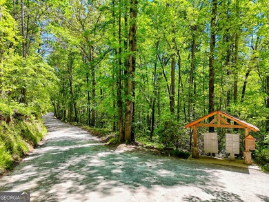 (private lake, pond, coastal) Acreage For Sale in Clarkesville Georgia