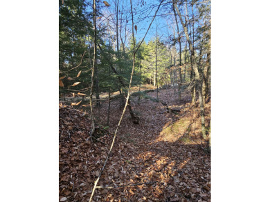 Newfound Lake Lot For Sale in Bridgewater New Hampshire