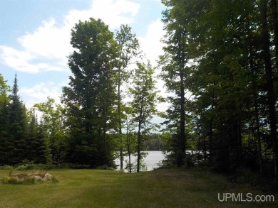 Lake Ellen  Acreage For Sale in Crystal Falls Michigan