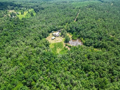 Exceptional opportunity to own a private 66 acre estate just - photo 34