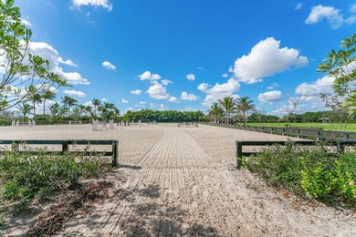 Stunning 21 acre Equestrian Compound located in the heart of - photo 34