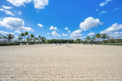 Stunning 21 acre Equestrian Compound located in the heart of - photo 35