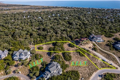 This X Flood Zone HIGH Dune ridge lot is a gem! It's got a - photo 4