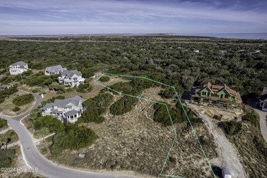 This X Flood Zone HIGH Dune ridge lot is a gem! It's got a - photo 7