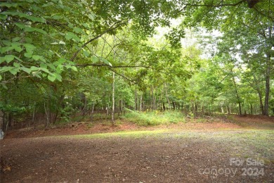 Lake Lot For Sale in Lake Lure, North Carolina