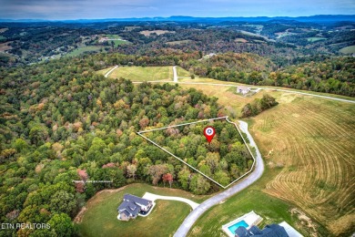 Norris Lake Acreage For Sale in New Tazewell Tennessee