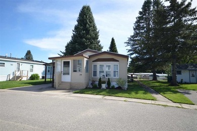 Charming & Meticulously Maintained Victorian Mobile Home Step - photo 1