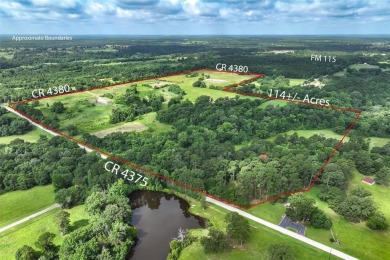 Lake Home For Sale in Scroggins, Texas