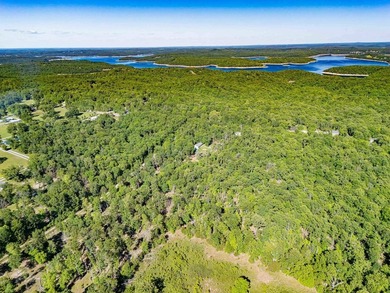 Wooded 7-acre m/l property ready for you to make it your own! - photo 3