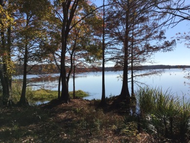 Lake Cherokee Lot For Sale in Longview Texas