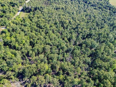 Wooded 7-acre m/l property ready for you to make it your own! - photo 5