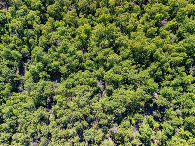 Wooded 7-acre m/l property ready for you to make it your own! - photo 8