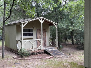 Come experience this beautiful and cozy two-bedroom, two-bath - photo 11