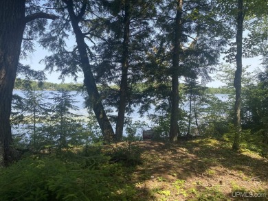 Lake Acreage For Sale in Watersmeet, Michigan