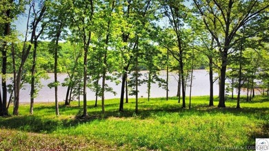 This is a hard one to find, so don't wait! 27+/- acres of - photo 13