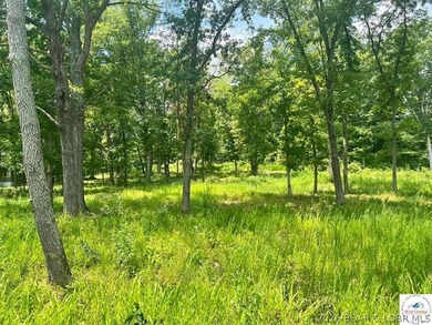 This is a hard one to find, so don't wait! 27+/- acres of - photo 24