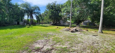 Rare Opportunity - 3 Bedroom, 2 Bath Home on 2.61 Acres. Looking - photo 10