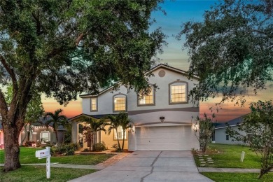 Lake Home For Sale in Tampa, Florida