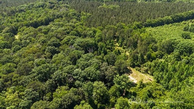 This 96+/--acre tract in Simpson County offers river frontage - photo 11