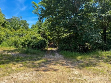 This 96+/--acre tract in Simpson County offers river frontage - photo 12