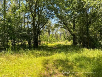 This 96+/--acre tract in Simpson County offers river frontage - photo 14