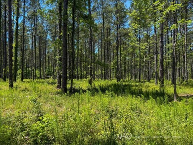 This 96+/--acre tract in Simpson County offers river frontage - photo 15