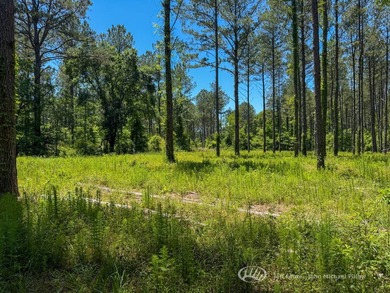 This 96+/--acre tract in Simpson County offers river frontage - photo 16
