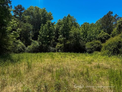 This 96+/--acre tract in Simpson County offers river frontage - photo 17