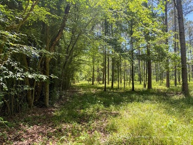 This 96+/--acre tract in Simpson County offers river frontage - photo 19