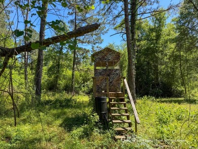 This 96+/--acre tract in Simpson County offers river frontage - photo 20