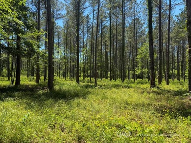 This 96+/--acre tract in Simpson County offers river frontage - photo 21
