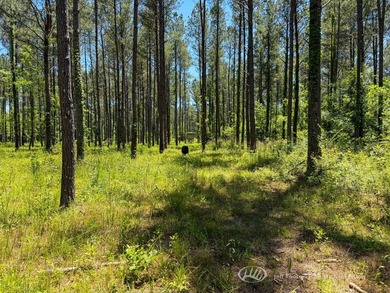This 96+/--acre tract in Simpson County offers river frontage - photo 23