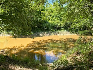 This 96+/--acre tract in Simpson County offers river frontage - photo 27