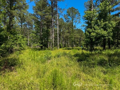 This 96+/--acre tract in Simpson County offers river frontage - photo 29