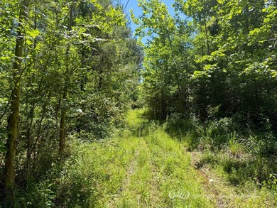 This 96+/--acre tract in Simpson County offers river frontage - photo 31
