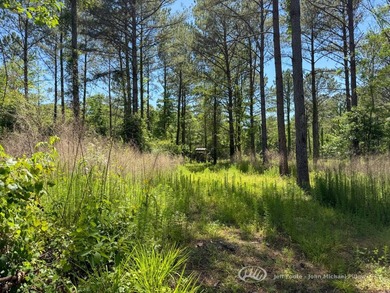 This 96+/--acre tract in Simpson County offers river frontage - photo 32