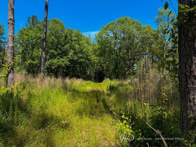 This 96+/--acre tract in Simpson County offers river frontage - photo 33