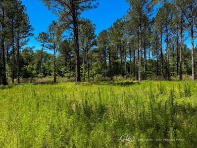 This 96+/--acre tract in Simpson County offers river frontage - photo 34