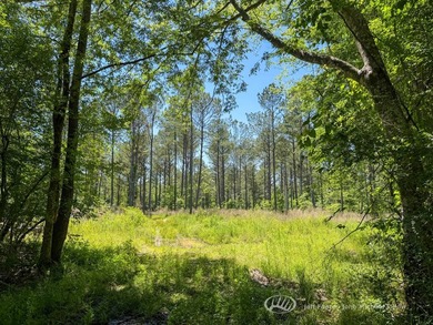 This 96+/--acre tract in Simpson County offers river frontage - photo 35