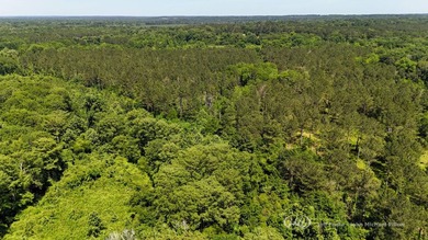 This 96+/--acre tract in Simpson County offers river frontage - photo 36