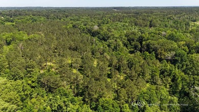 This 96+/--acre tract in Simpson County offers river frontage - photo 37