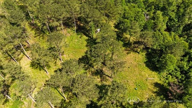 This 96+/--acre tract in Simpson County offers river frontage - photo 38