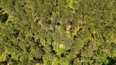 This 96+/--acre tract in Simpson County offers river frontage - photo 39